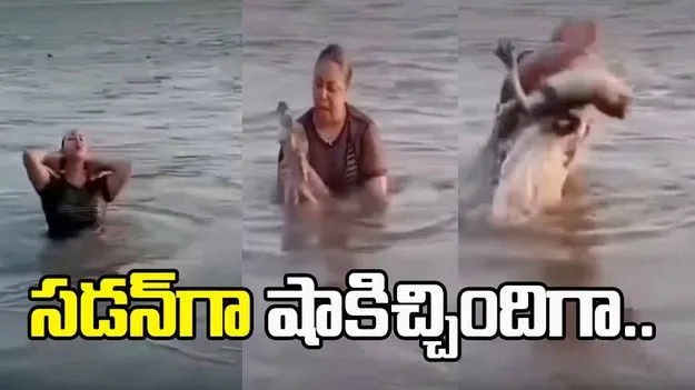 నదిలో స్నానం చేస్తున్న యువతి.. సడన్‌గా చేతికి తగిలిన మొసలి.. చివరకు.. 