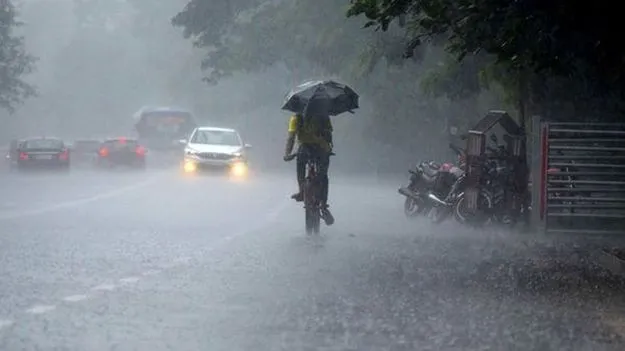 తమిళనాడులోని 16 జిల్లాల్లో విస్తారంగా వర్షాలు కురిసే అవకాశం