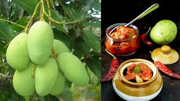 పచ్చళ్ల తయారీకి ధరల ఘాటు..