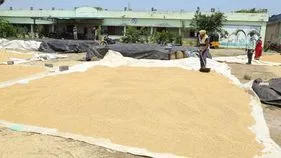ఆ కేంద్రాలలో పెత్తనమంతా పురుషులదే..