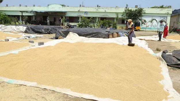 ఆ కేంద్రాలలో పెత్తనమంతా పురుషులదే..