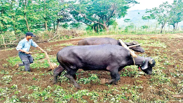  Example in Farming! ఆదర్శంగా ‘సాగు’తూ!