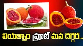 వియత్నాం ఫ్రూట్‌ మన దగ్గర...