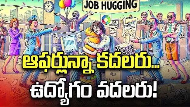 ఆఫర్లున్నా కదలరు...ఉద్యోగం వదలరు!