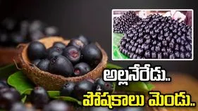 అల్లనేరేడు.. పోషకాలు మెండు..