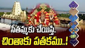 సీతమ్మకు చేయిస్తి చింతాకు పతకము..!