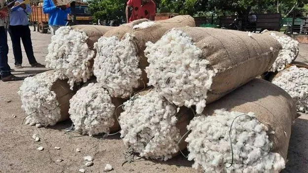 పత్తికి పెరిగిన మద్దతు ధర