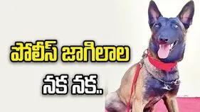 పోలీస్‌ జాగిలాల నక నక.. నిధుల కొరతతో అందని పౌష్టికాహారం