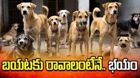 బయటకు రావాలంటేనే.. భయం