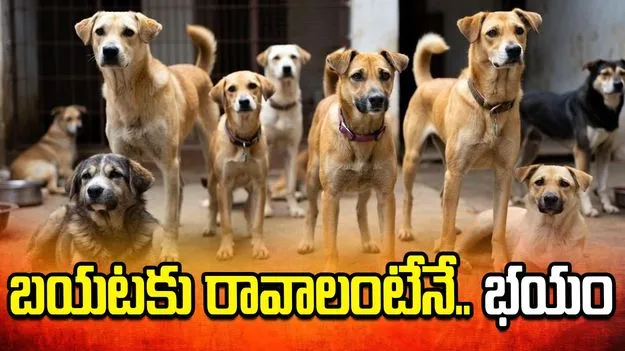 బయటకు రావాలంటేనే.. భయం