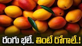 రంగు భలే.. తింటే రోగాలే..!