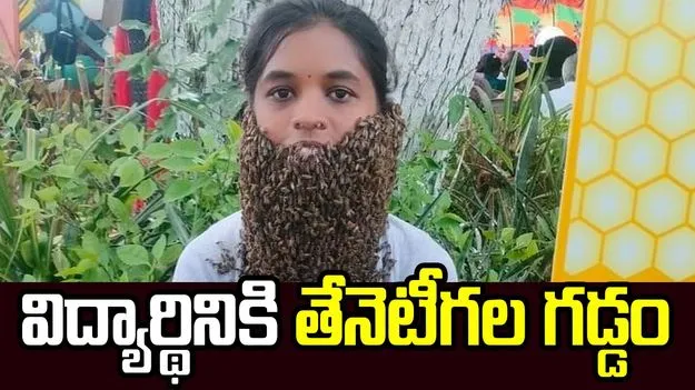 విద్యార్థినికి తేనెటీగల గడ్డం 