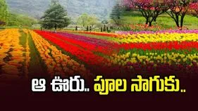 ఆ ఊరు.. పూల పరిమళాలతో...