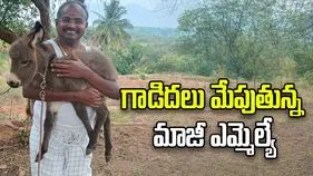 గాడిదలు మేపుతున్న పీఎంకే మాజీ ఎమ్మెల్యే 