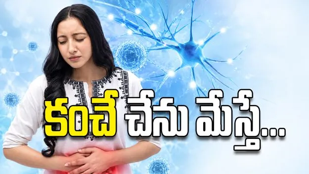 కంచే చేను మేస్తే...
