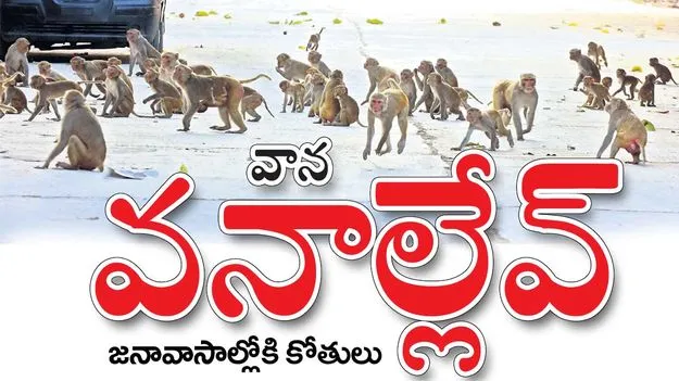 వానల్లేవ్‌.. వనాల్లేవ్‌