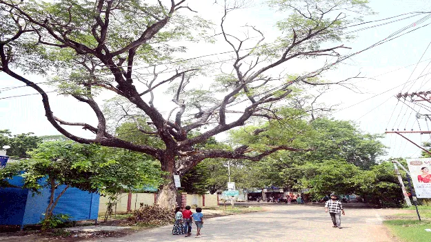 ఎప్పుడు కూలతాయో.. ఎవరిపై పడతాయో!