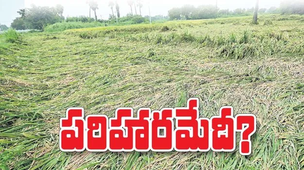 పరిహారమేదీ..? 