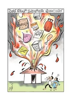 Daily Cartoon