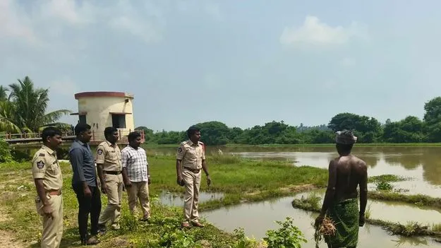 పులి అడుగు జాడలు