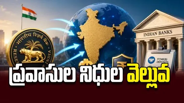 ప్రవాసుల నిధుల వెల్లువ