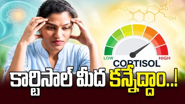 కార్టిసాల్‌ మీద కన్నేద్దాం..!