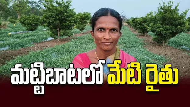 మట్టిబాటలో మేటి రైతు