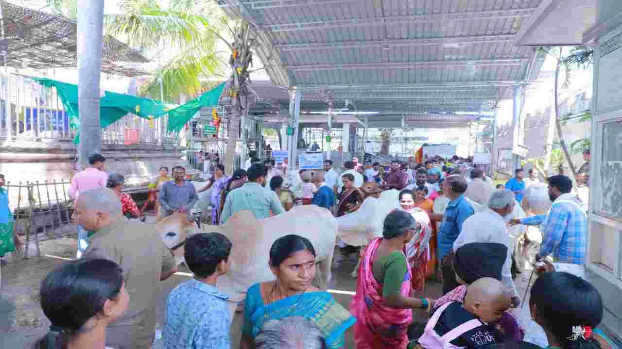 భీమన్న ఆలయానికి పోటెత్తిన భక్తులు