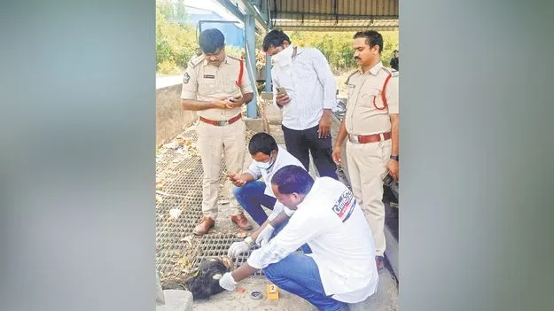 మహిళ శరీరం ముక్కలు.. ముక్కలుగా..