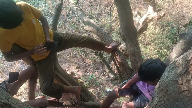 చెట్టులెక్కగలను... వీడియో గేములాడగలను...!