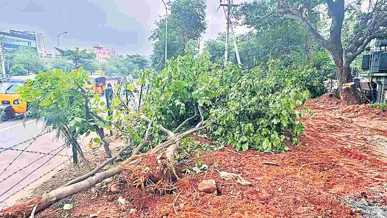 పర్యావరణ విధ్వంసం