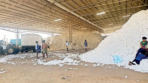 పత్తి కొనుగోళ్లకు మార్గదర్శకాలు 