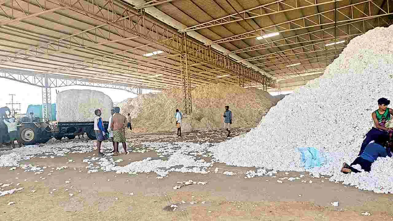 పత్తి కొనుగోళ్లకు మార్గదర్శకాలు