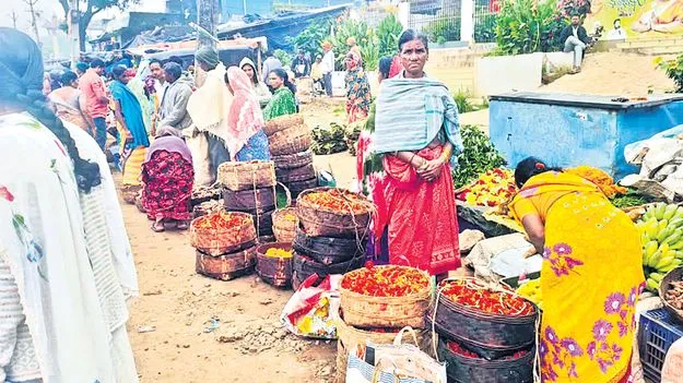 బంతి పూల సందడి
