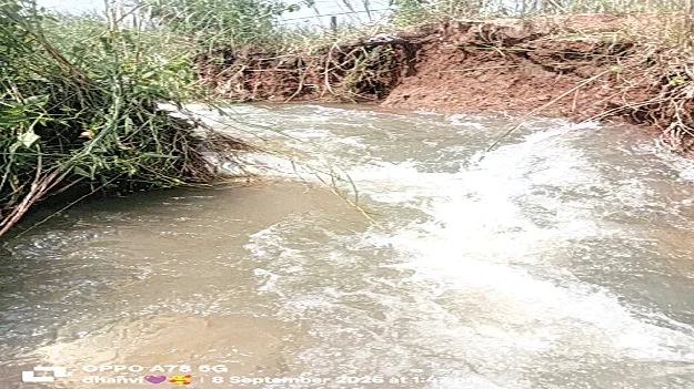 తోటపల్లి కుడి కాలువకు గండి