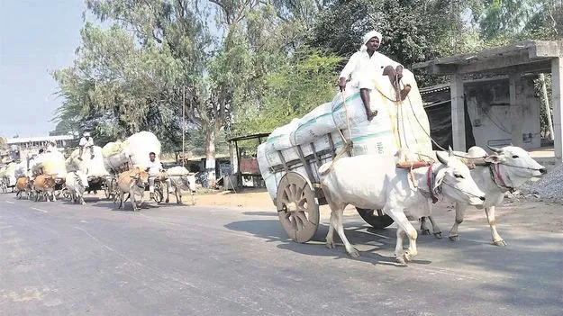 kumaram bheem asifabad- పత్తి కొనుగోలుకు సన్నద్ధత
