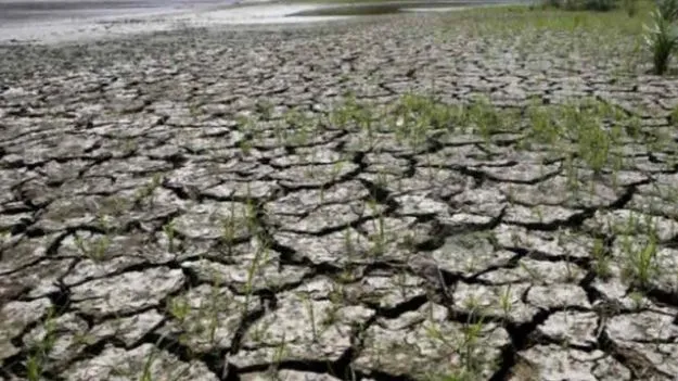 ఎల్‌నినోతో వచ్చే మార్చి వరకు కరువు!