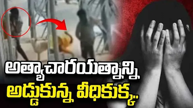 మతిస్థిమితం లేని యువతిపై యువకుడి అత్యాచారయత్నం.. హీరోలా అడ్డుకున్న వీధి కుక్క.. 