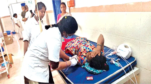   పిచ్చికుక్క  స్వైరవిహారం  