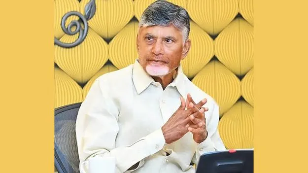 ప్రజారోగ్య పరిరక్షణకు 4 అంతర్జాతీయ కమిటీలు