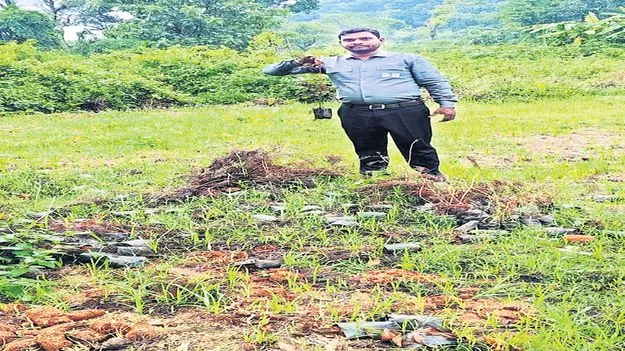 ఉద్యాన మొక్కల పంపిణీలో అక్రమాలు