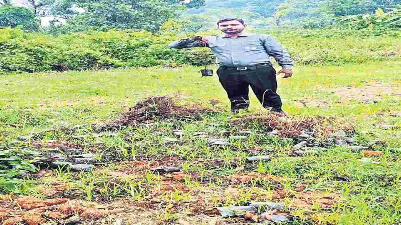 ఉద్యాన మొక్కల పంపిణీలో అక్రమాలు