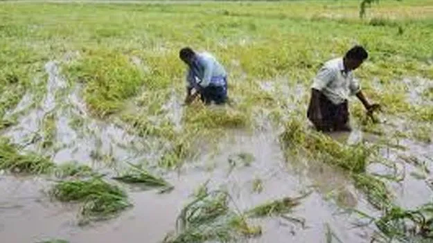 రైతుల గుండెల్లో ‘తుఫాన్‌’