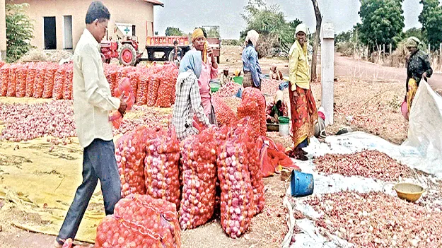 ఉల్లిరైతు ధరహాసం