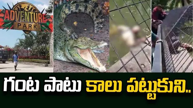 కేర్ టేకర్‌ కాలు పట్టుకున్న మొసలి.. ఓ గంట తర్వాత.. 
