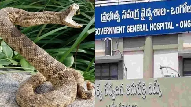 ‘108’ల్లోనూ పాముకాటు విరుగుడు మందు