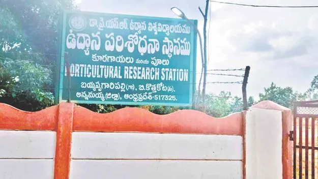 హార్టికల్చర్‌ హబ్‌గా రాయలసీమ