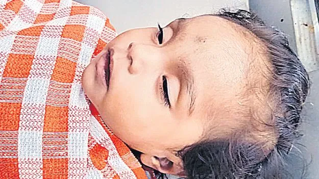 ప్రాణం తీసిన మందార పువ్వు