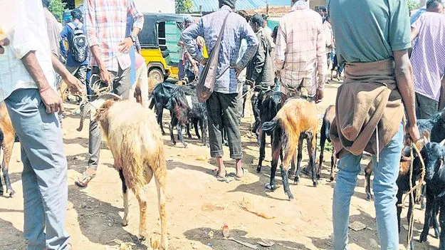 అరకు సంతలో దసరా సందడి