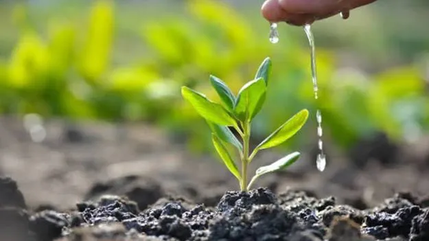 పరిశ్రమల పరిధిలోని 27,384 ఎకరాల్లో పచ్చదనం